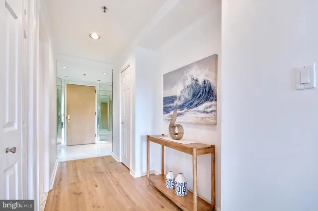 a view of a hallway with wooden floor and front door