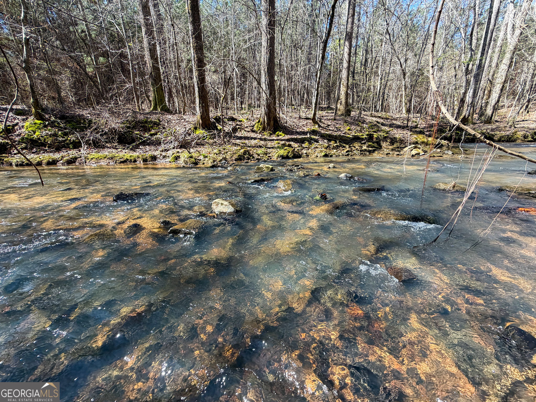 257 Acres On Ridgeway Road Franklin, GA 30217 - Photo 13 of 28