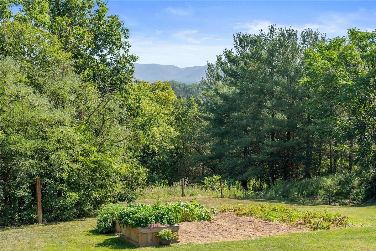 6704 Dovel Road Elkton, VA 22827 - Photo 56 of 61 Gallery Image 56