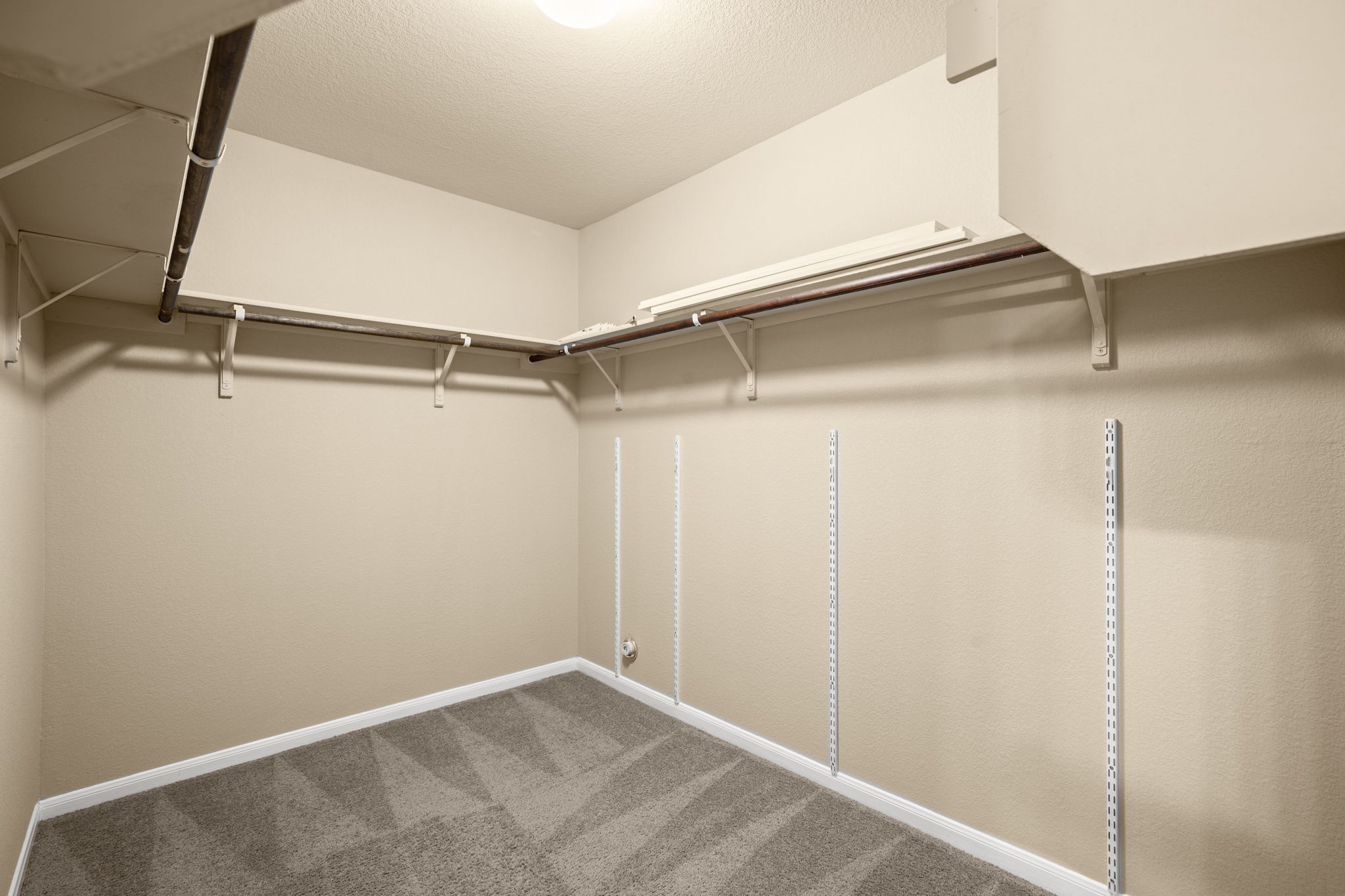 3100 Crystal Bend Drive Pflugerville, TX 78660 - Photo 18 of 32 Walk in closet with carpet