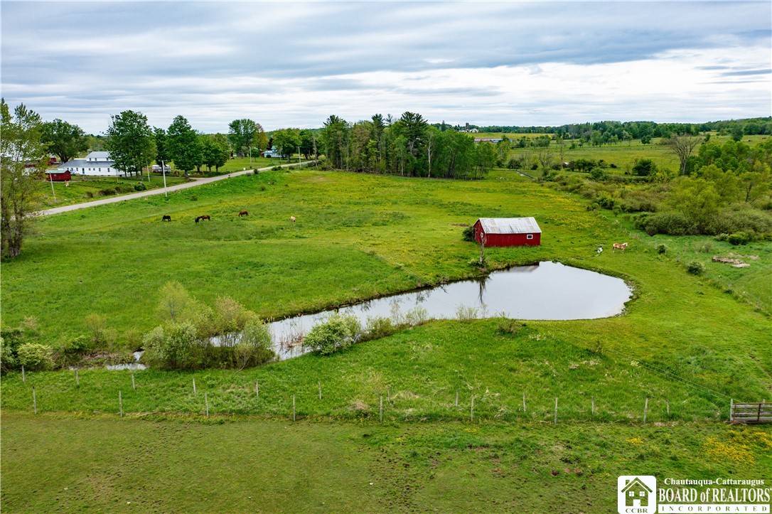 873 Wellman Road Busti, NY 14710 - Photo 11 of 47
