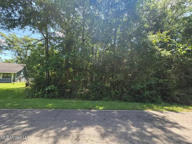 $10,500 | 116 East Sunnybrook Road, Carriere, MS 39426