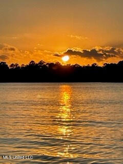 116 East Sunnybrook Road Carriere, MS 39426 - Photo 18 of 27 4_5