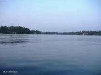 $10,500 | 116 East Sunnybrook Road, Carriere, MS 39426