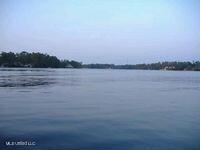 116 East Sunnybrook Road Carriere, MS 39426 - Photo 3 of 27 tn_hawl5