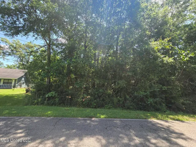 $10,500 | 116 East Sunnybrook Road, Carriere, MS 39426