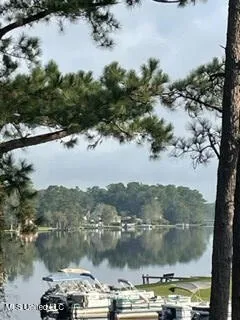 $10,500 | 116 East Sunnybrook Road, Carriere, MS 39426