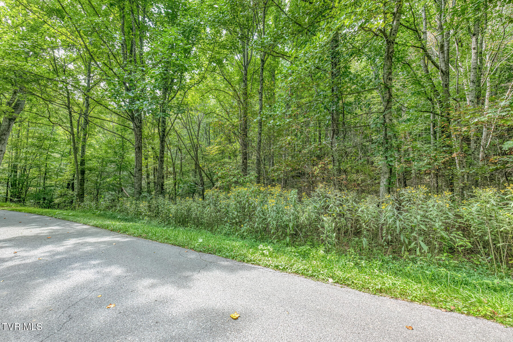 9.95-acres Heaton Ridge Road Roan Mountain, TN 37687 - Photo 13 of 19 TBD Heaton Ridge Rd-13