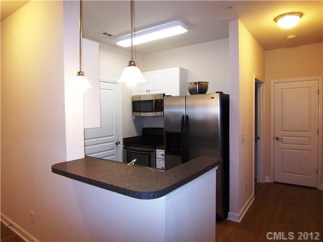10125 Westmoreland Road, Unit 3A Cornelius, NC 28031 - Photo 4 of 16