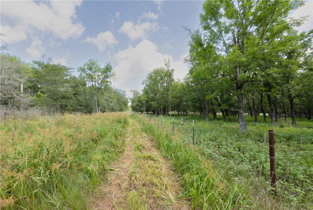 4074 Bucksnort Road Franklin, TX 77856 - Photo 37 of 41