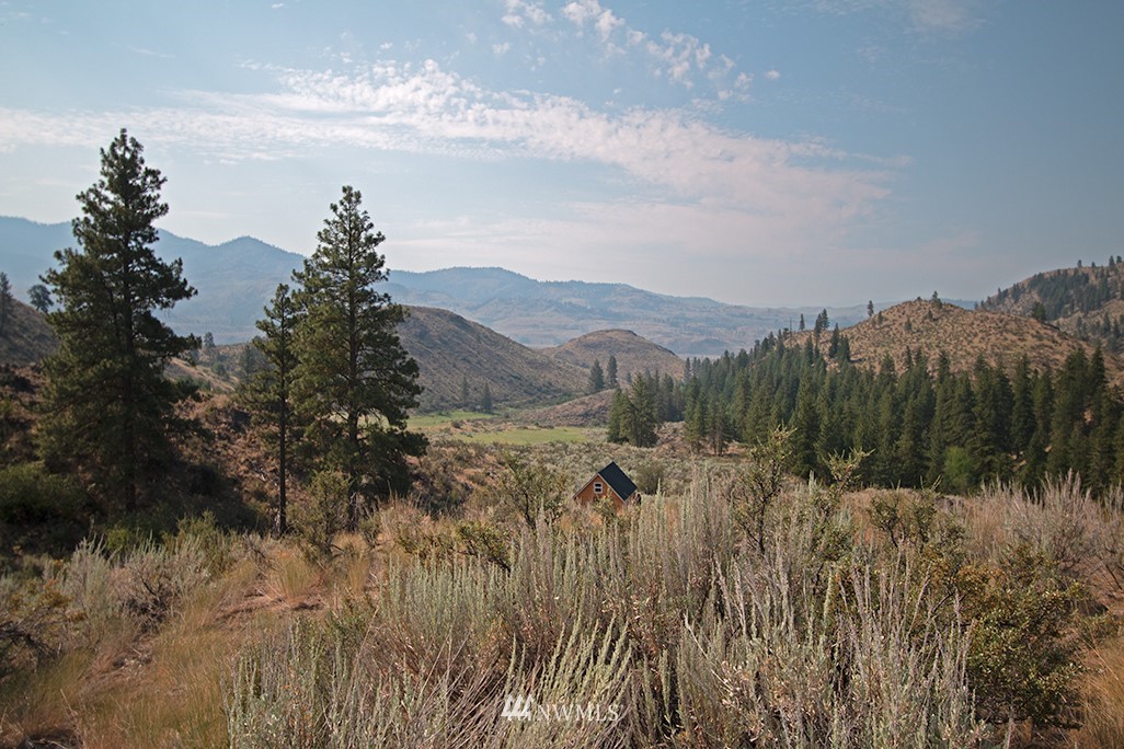 61 Doe Haven Road Twisp, WA 98856 - Photo 1 of 38 Gallery Image 1