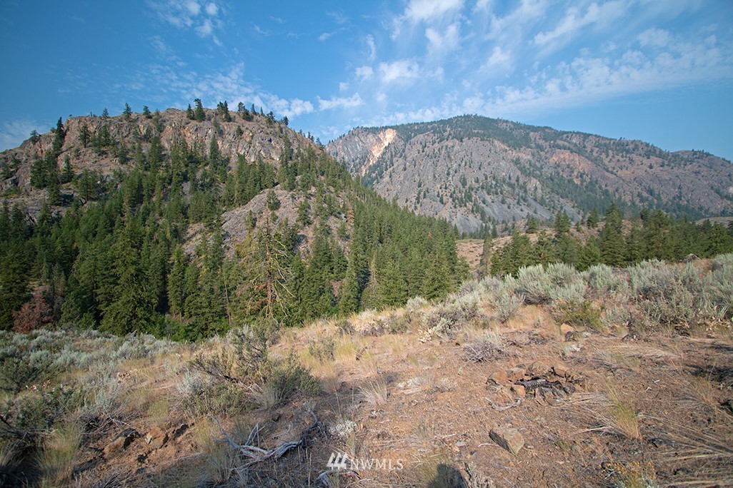 61 Doe Haven Road Twisp, WA 98856 - Photo 12 of 38 Gallery Image 12