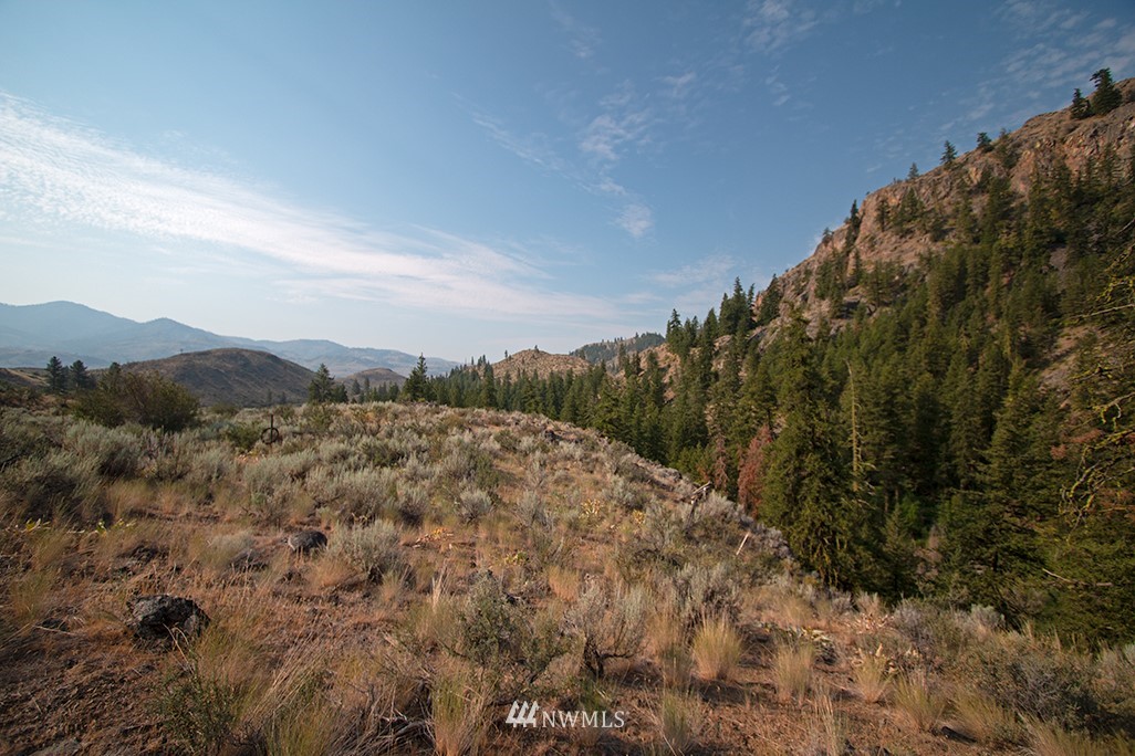 61 Doe Haven Road Twisp, WA 98856 - Photo 13 of 38 Gallery Image 13