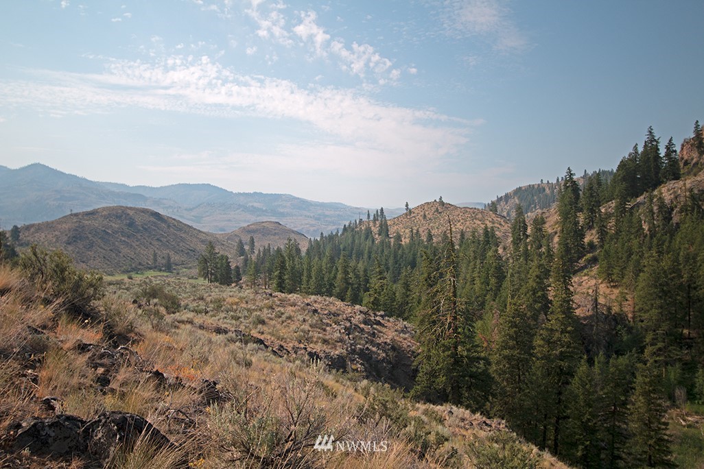 61 Doe Haven Road Twisp, WA 98856 - Photo 14 of 38 Gallery Image 14