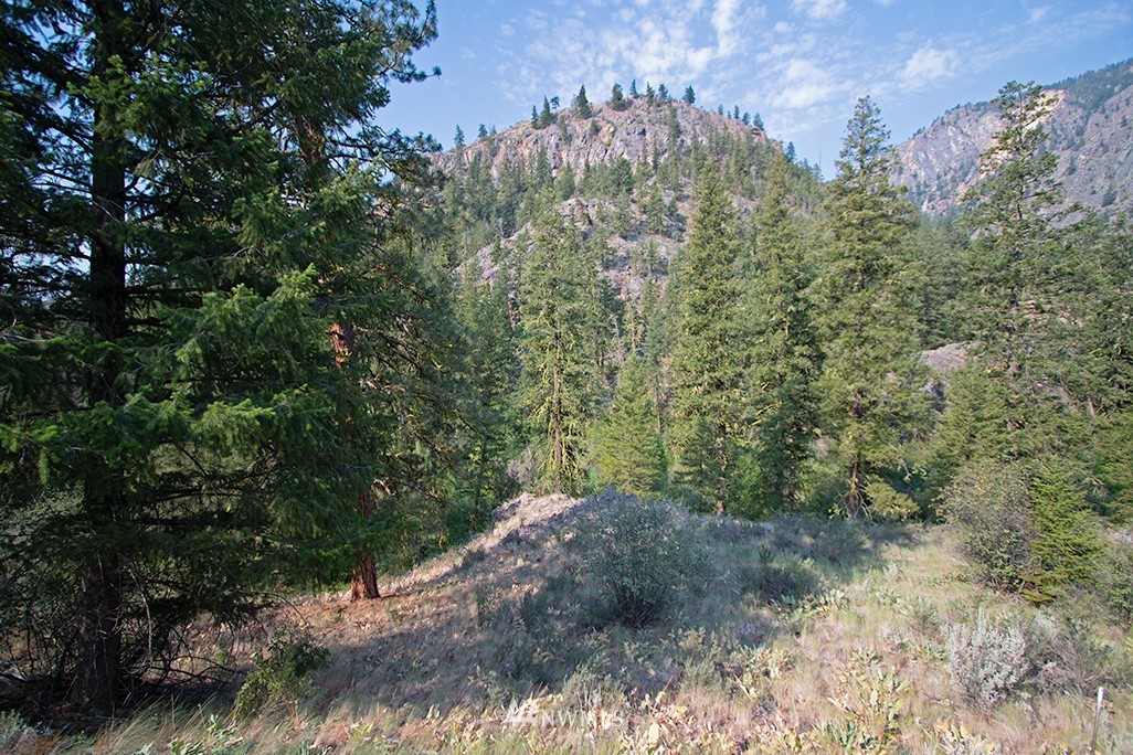 61 Doe Haven Road Twisp, WA 98856 - Photo 17 of 38 Gallery Image 17