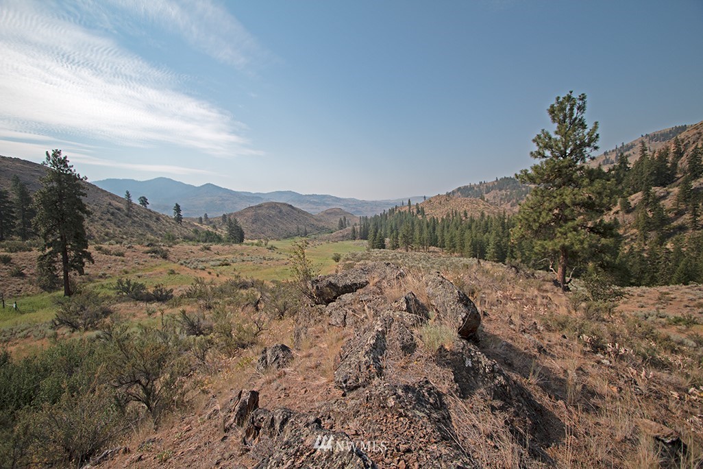 61 Doe Haven Road Twisp, WA 98856 - Photo 23 of 38 Gallery Image 23