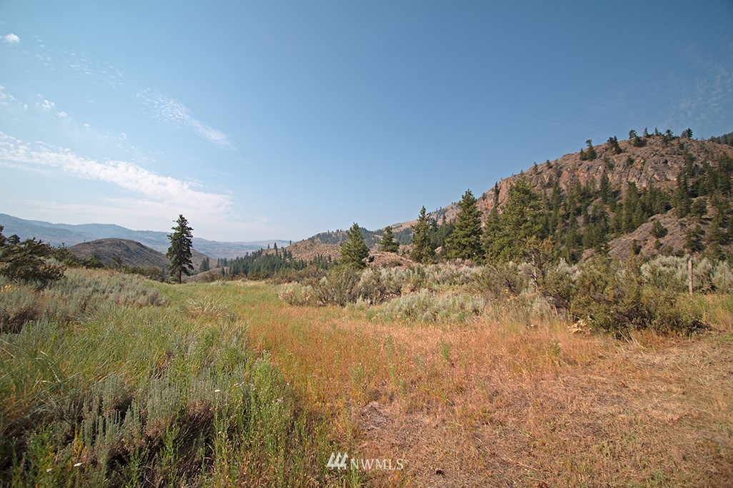 61 Doe Haven Road Twisp, WA 98856 - Photo 24 of 38 Gallery Image 24