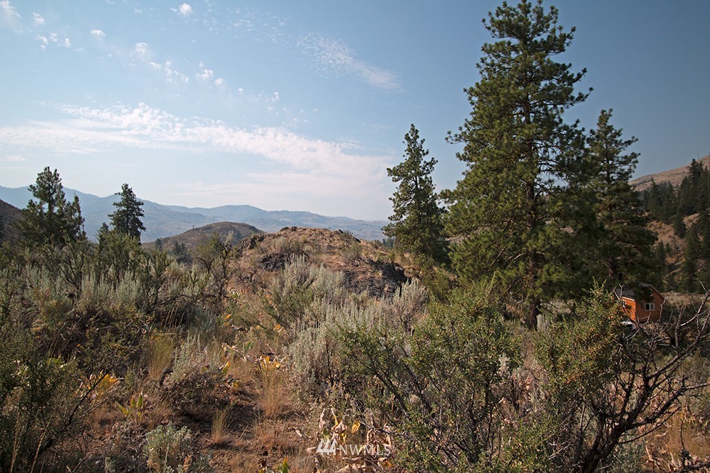 61 Doe Haven Road Twisp, WA 98856 - Photo 32 of 38 Gallery Image 32