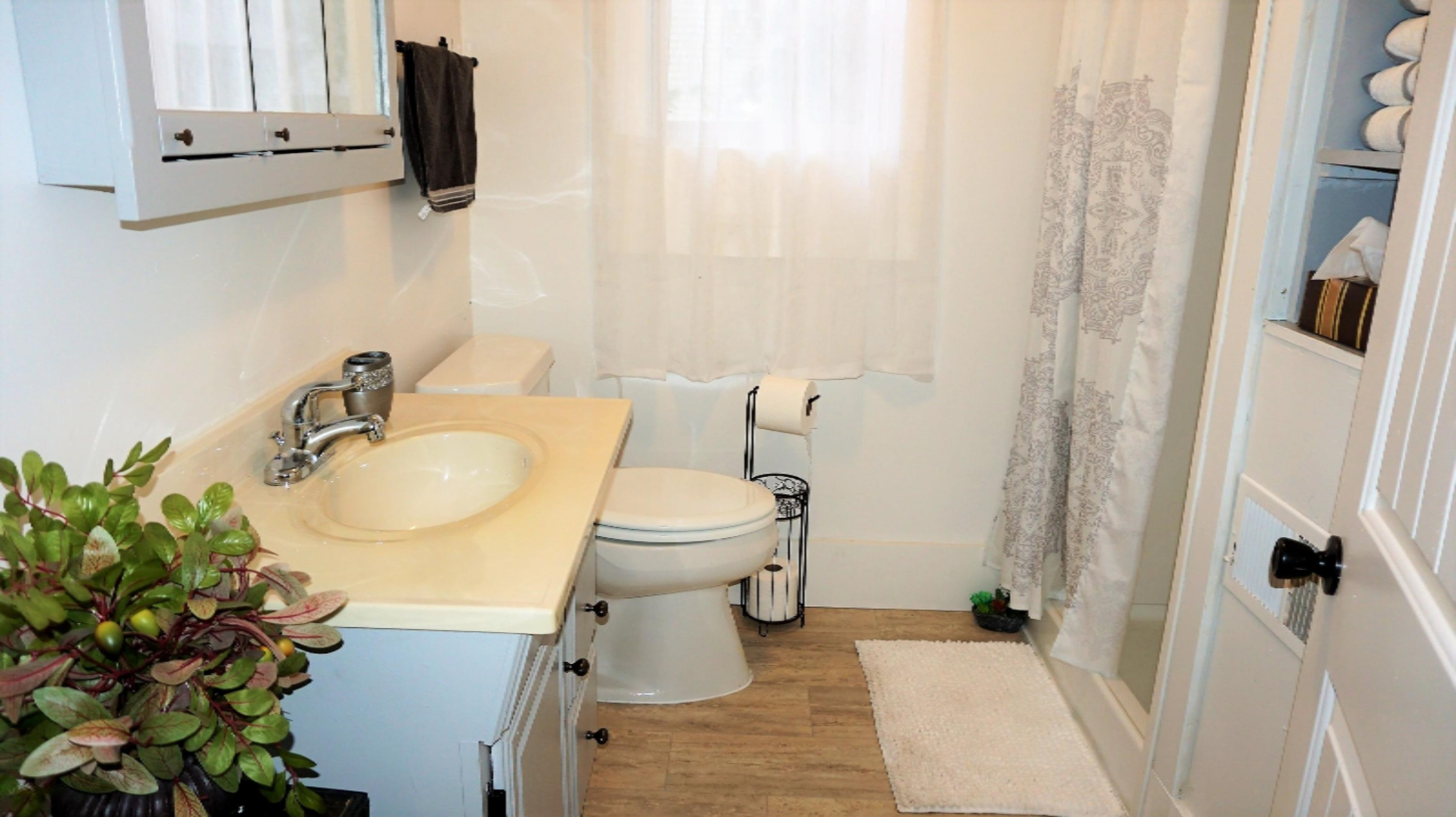115 East Bronson Street Decatur, MI 49045 - Photo 14 of 32 Bath - Main Floor