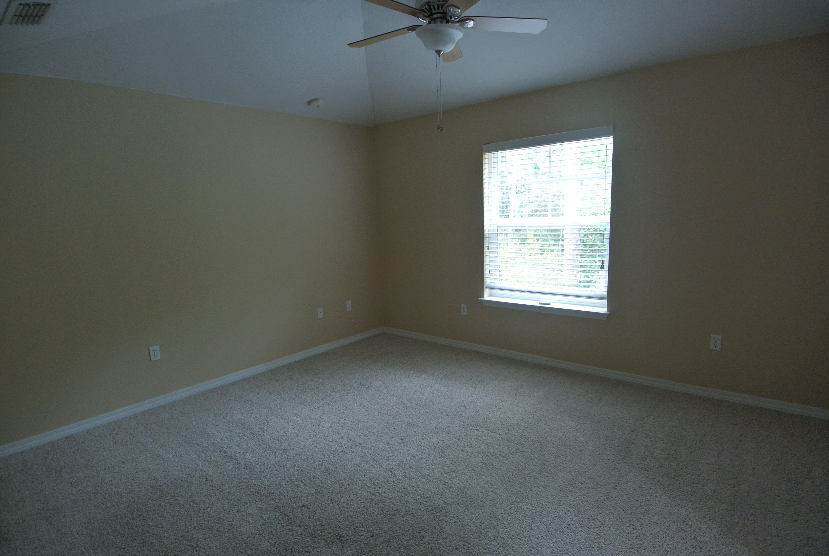 183 Hackberry Way Santa Rosa Beach, FL 32459 - Photo 7 of 18 DSC_2863