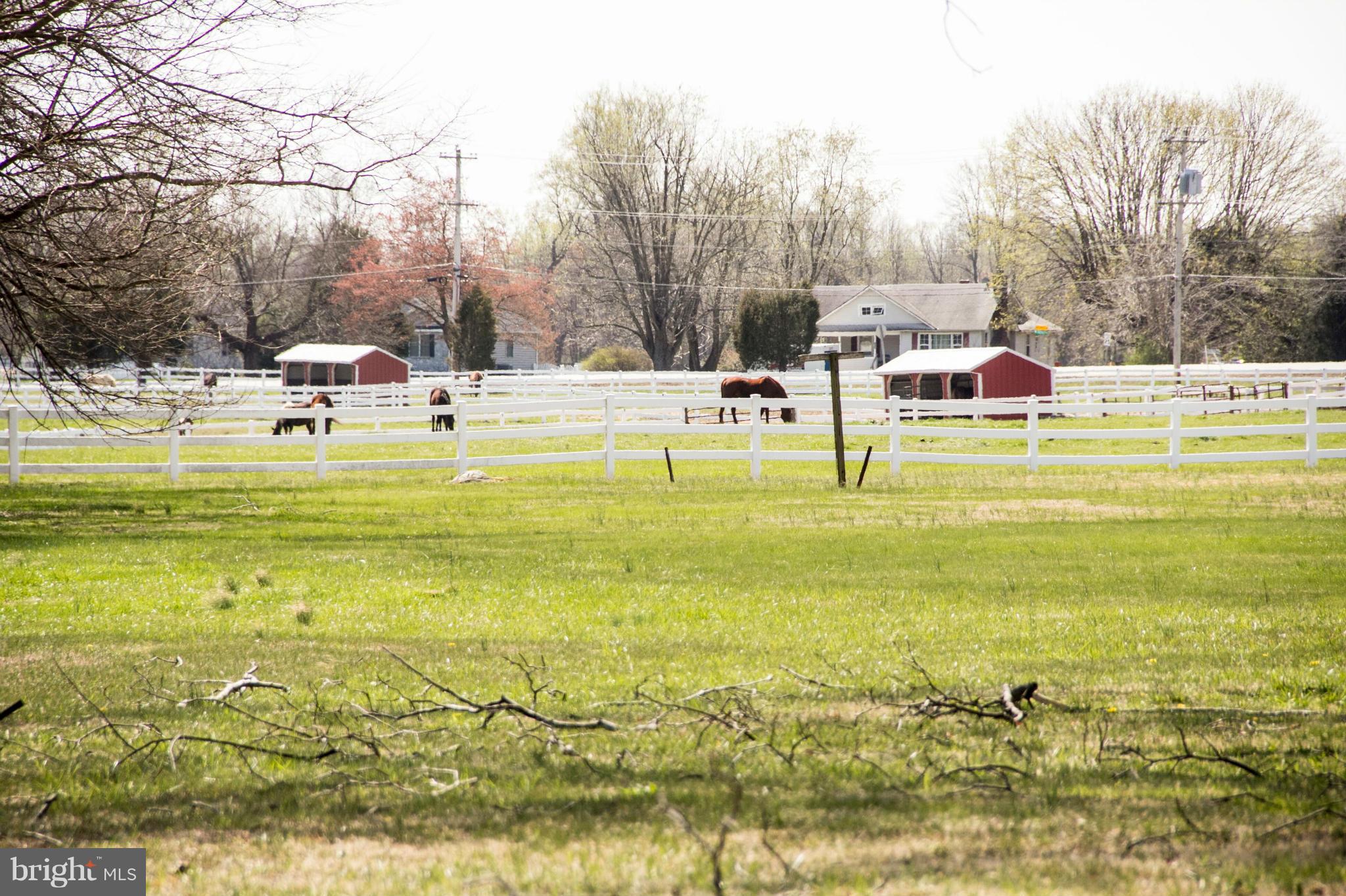 1508 Poole Road Street, MD 21154 - Photo 28 of 30 Awesome Pastoral Views