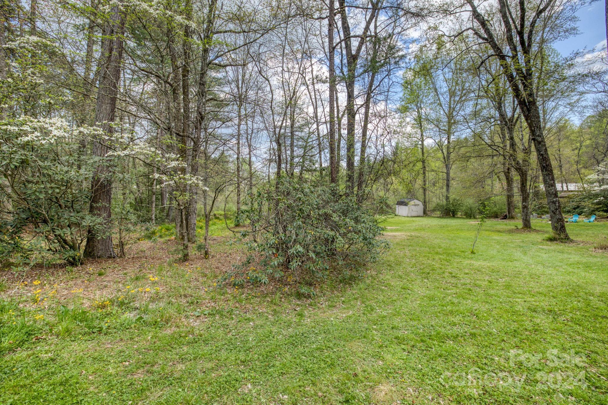 319 Forest Lake Road Brevard, NC 28712 - Photo 13 of 29 Gallery Image 13