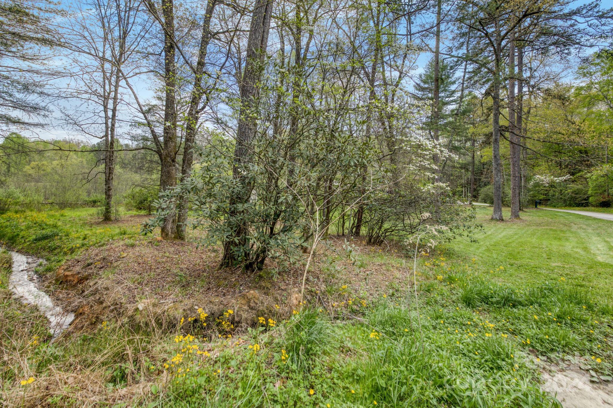 319 Forest Lake Road Brevard, NC 28712 - Photo 3 of 29 Gallery Image 3