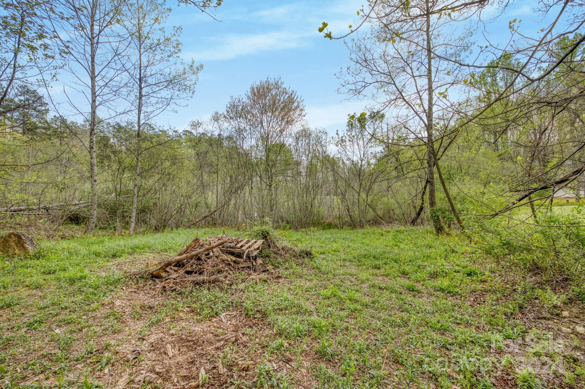 319 Forest Lake Road Brevard, NC 28712 - Photo 9 of 29 Gallery Image 9