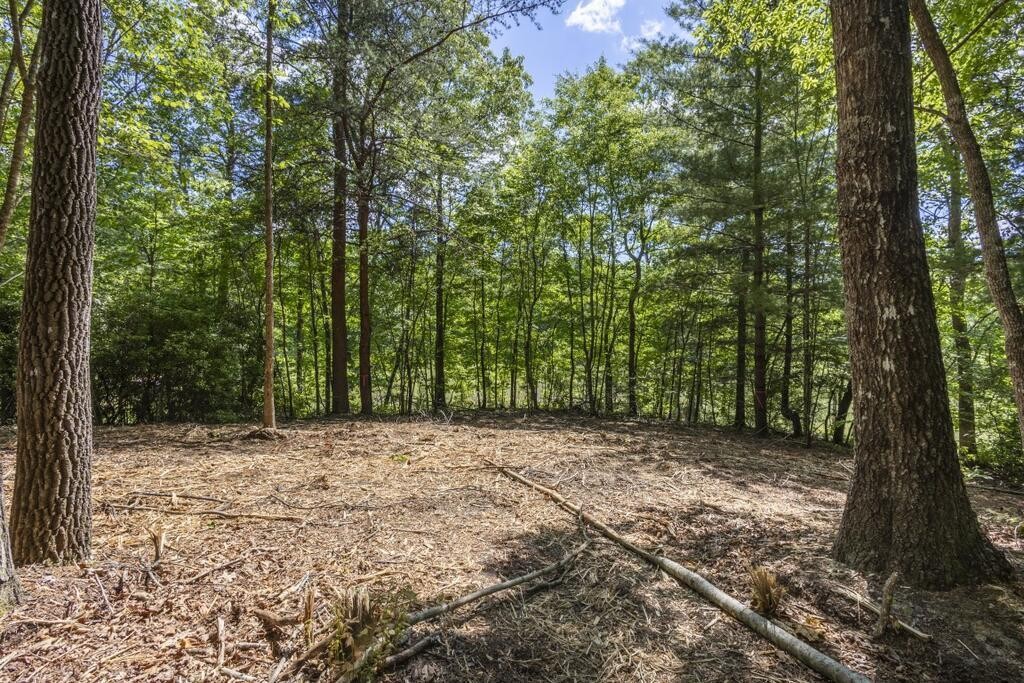 34 Donley Road Murphy, NC 28906 - Photo 21 of 37 Gallery Image 21