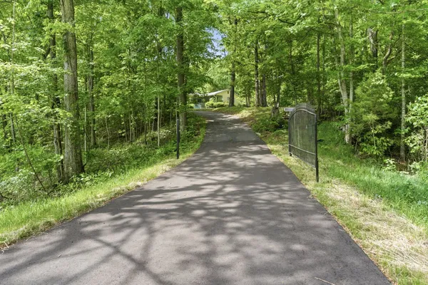 a view of a pathway of a park