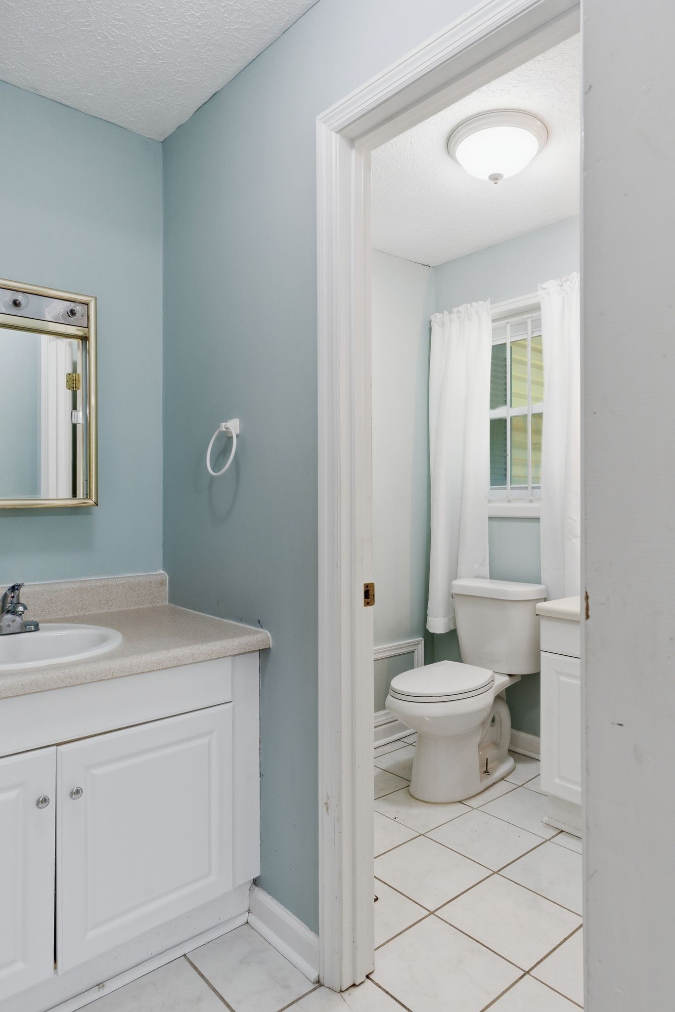 6603 Shedden Road Greenbrier, TN 37073 - Photo 16 of 30 a bathroom with a toilet a sink a mirror and a window