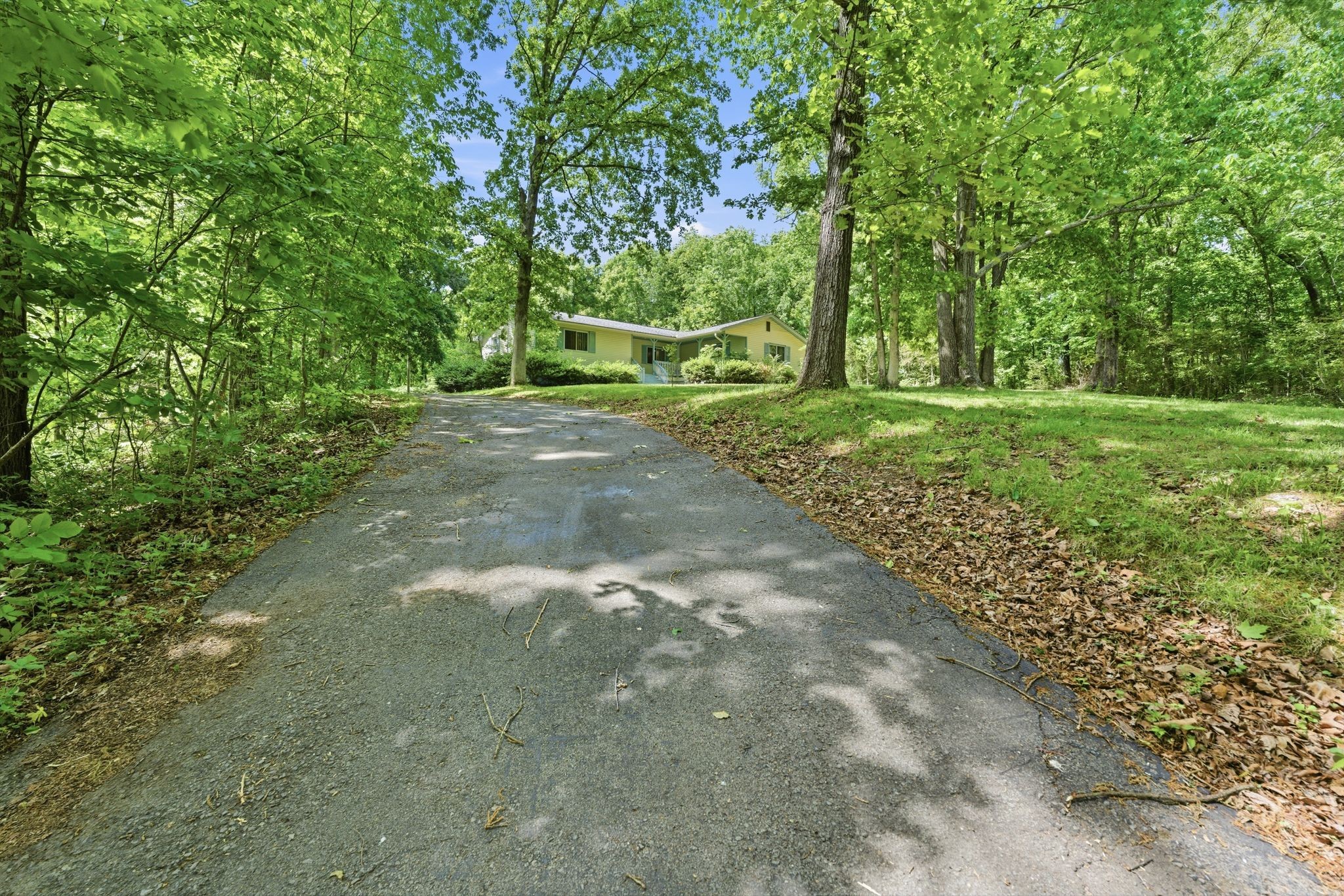6603 Shedden Road Greenbrier, TN 37073 - Photo 2 of 30 a view of outdoor space with trees all around