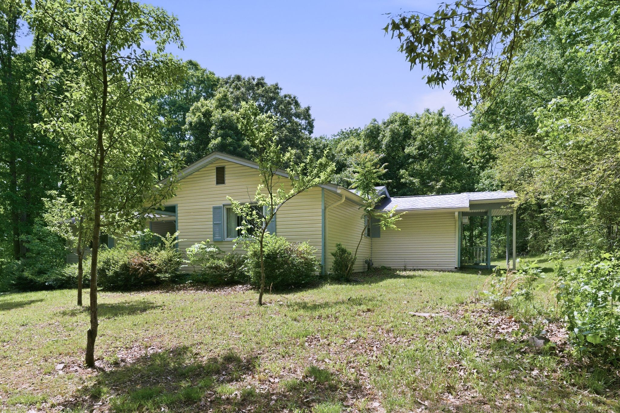 6603 Shedden Road Greenbrier, TN 37073 - Photo 30 of 30 a house with trees in the background