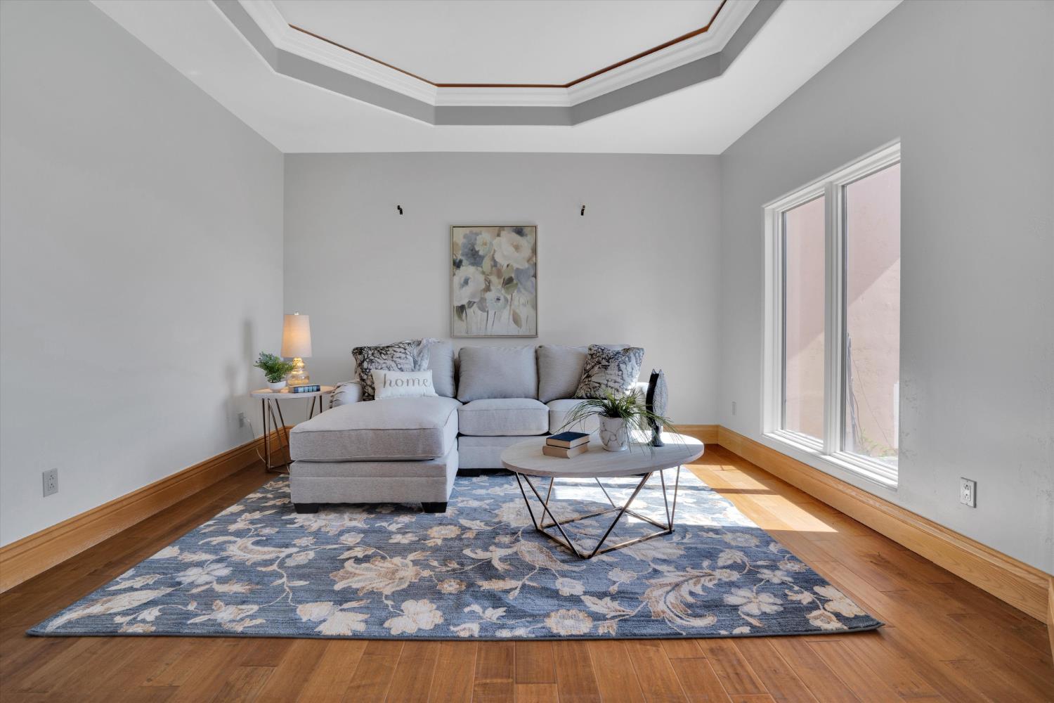 20170 River Road Stevinson, CA 95374 - Photo 44 of 77 a living room with furniture and a rug