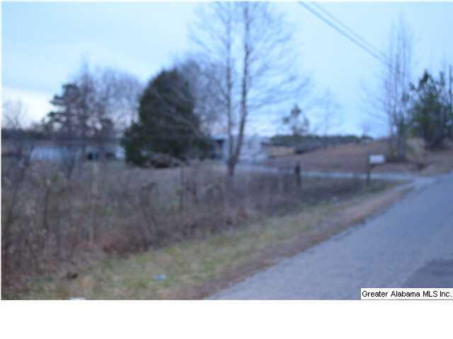 Covered Bridge Road Cleveland, AL 35049 - Photo 3 of 6