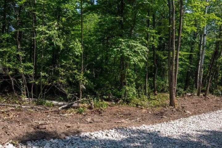 Scandia Road, Unit 3 Sister Bay, WI 54234 - Photo 3 of 12