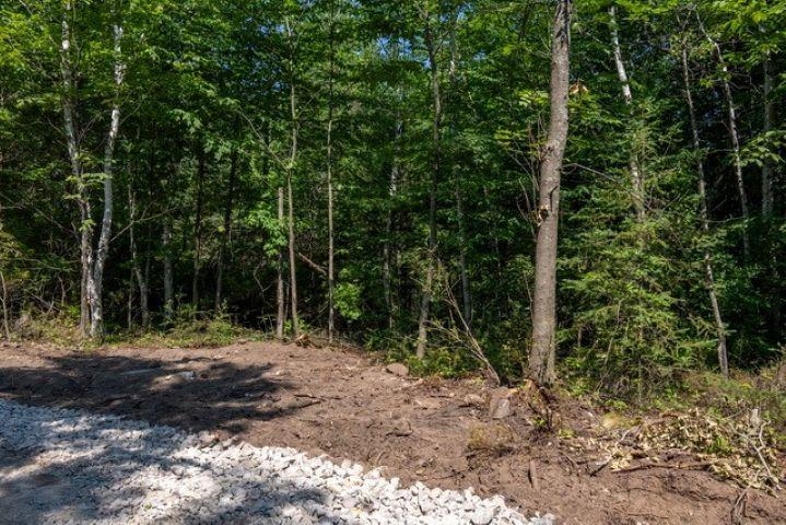 Scandia Road, Unit 3 Sister Bay, WI 54234 - Photo 4 of 12