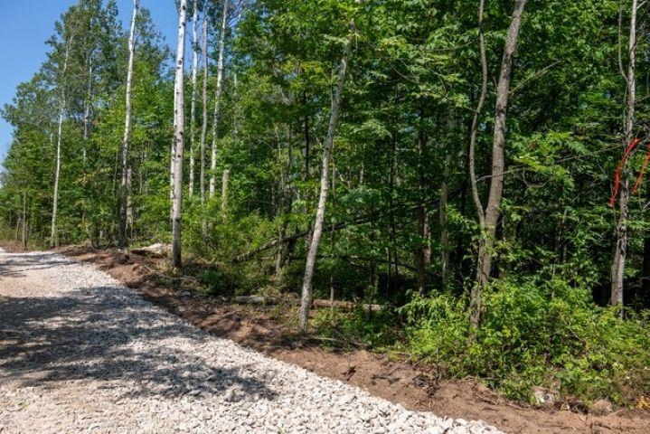 Scandia Road, Unit 3 Sister Bay, WI 54234 - Photo 5 of 12