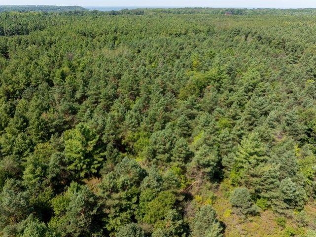 Scandia Road, Unit 3 Sister Bay, WI 54234 - Photo 8 of 12