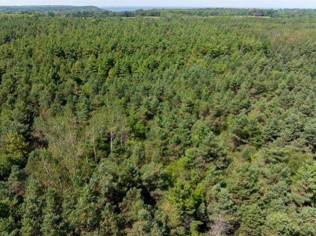 Scandia Road, Unit 3 Sister Bay, WI 54234 - Photo 9 of 12