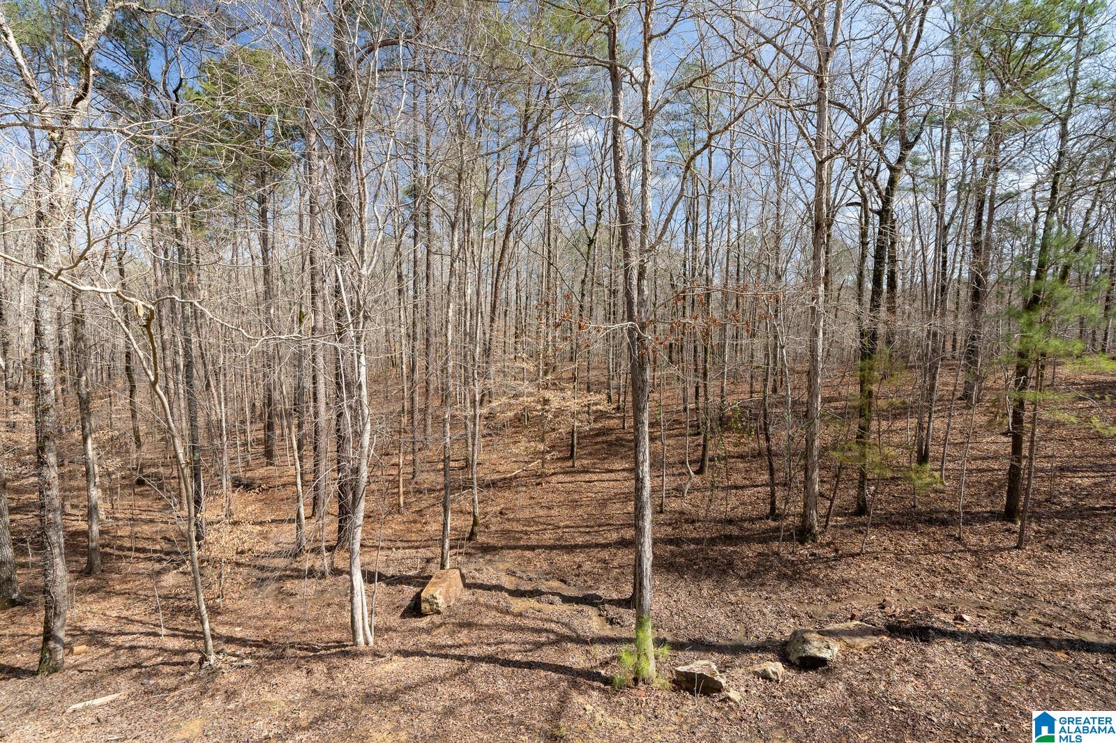 2275 Blackjack Road Trussville, AL 35173 - Photo 10 of 42