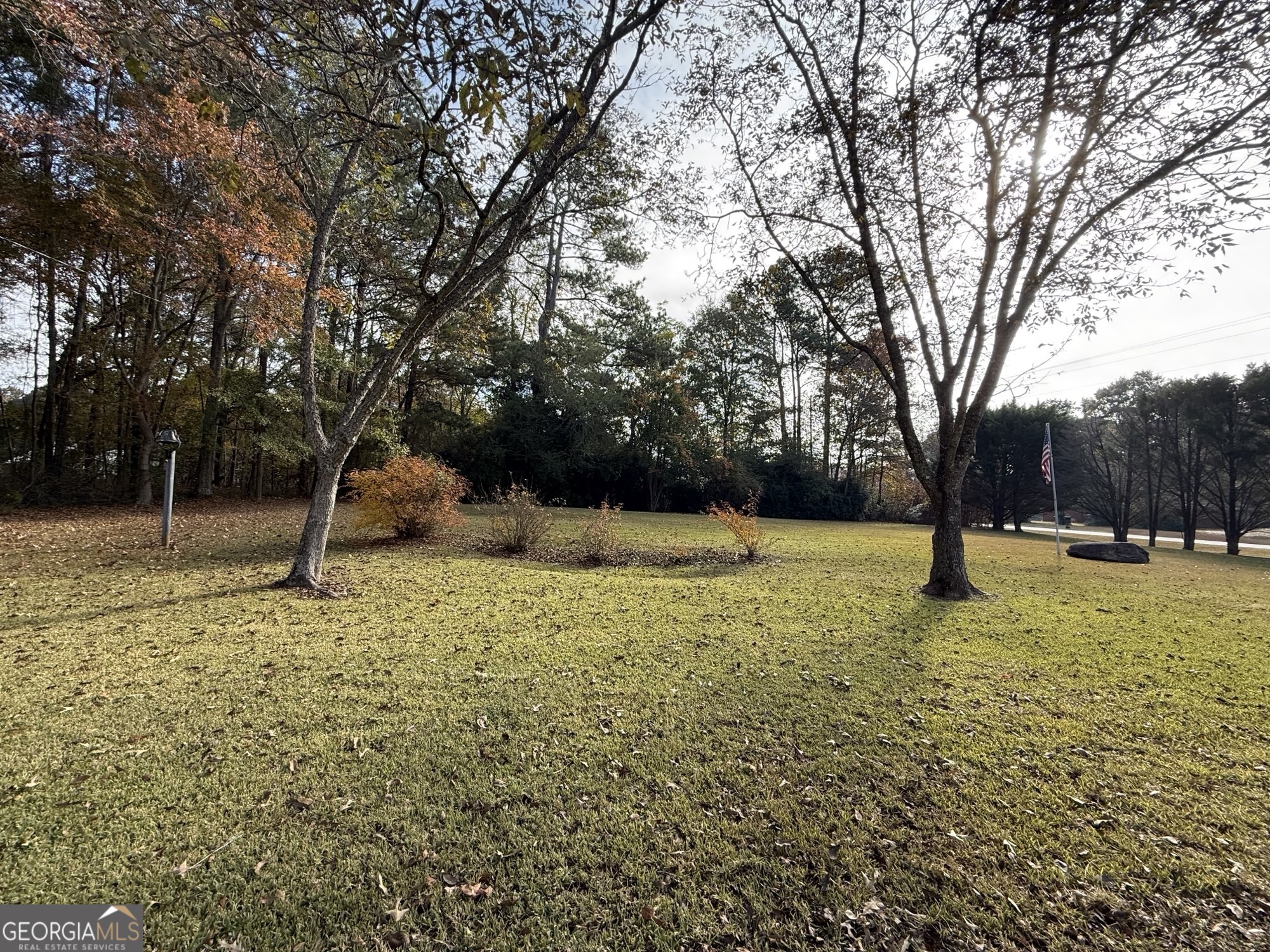1084 Macedonia Road Newnan, GA 30263 - Photo 21 of 24 a backyard of a house with trees and swing