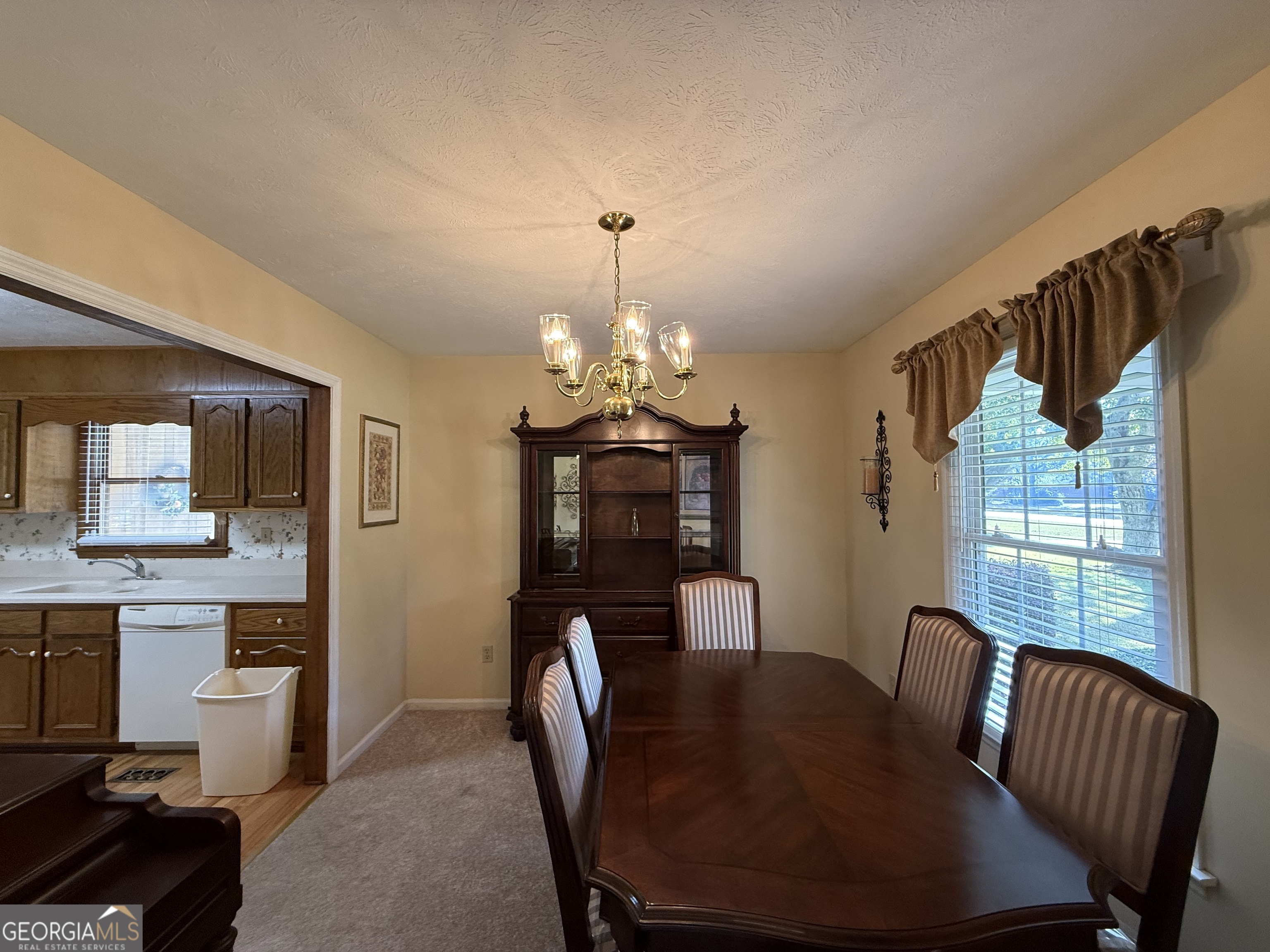 1084 Macedonia Road Newnan, GA 30263 - Photo 5 of 24 a view of a dining room with furniture window and outside view