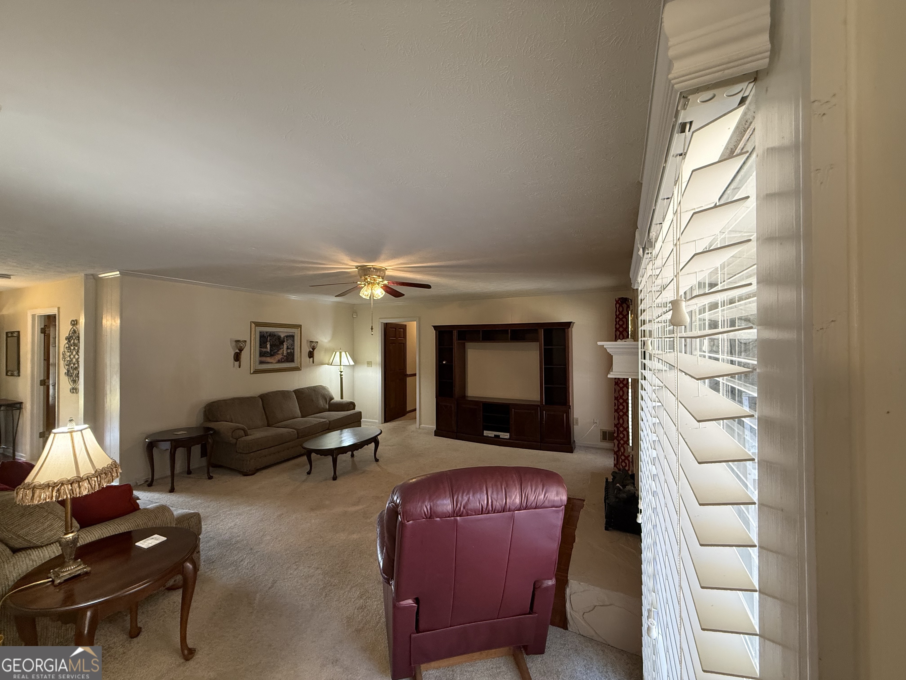 1084 Macedonia Road Newnan, GA 30263 - Photo 9 of 24 a living room with furniture a flat screen tv and a fireplace
