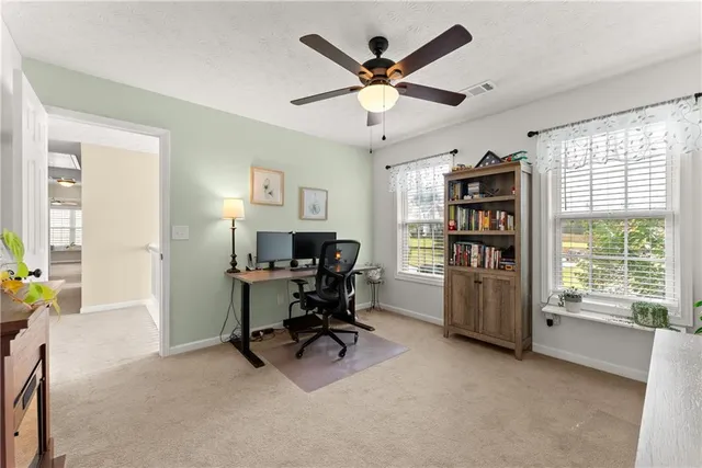 a view of a house with backyard and a tree