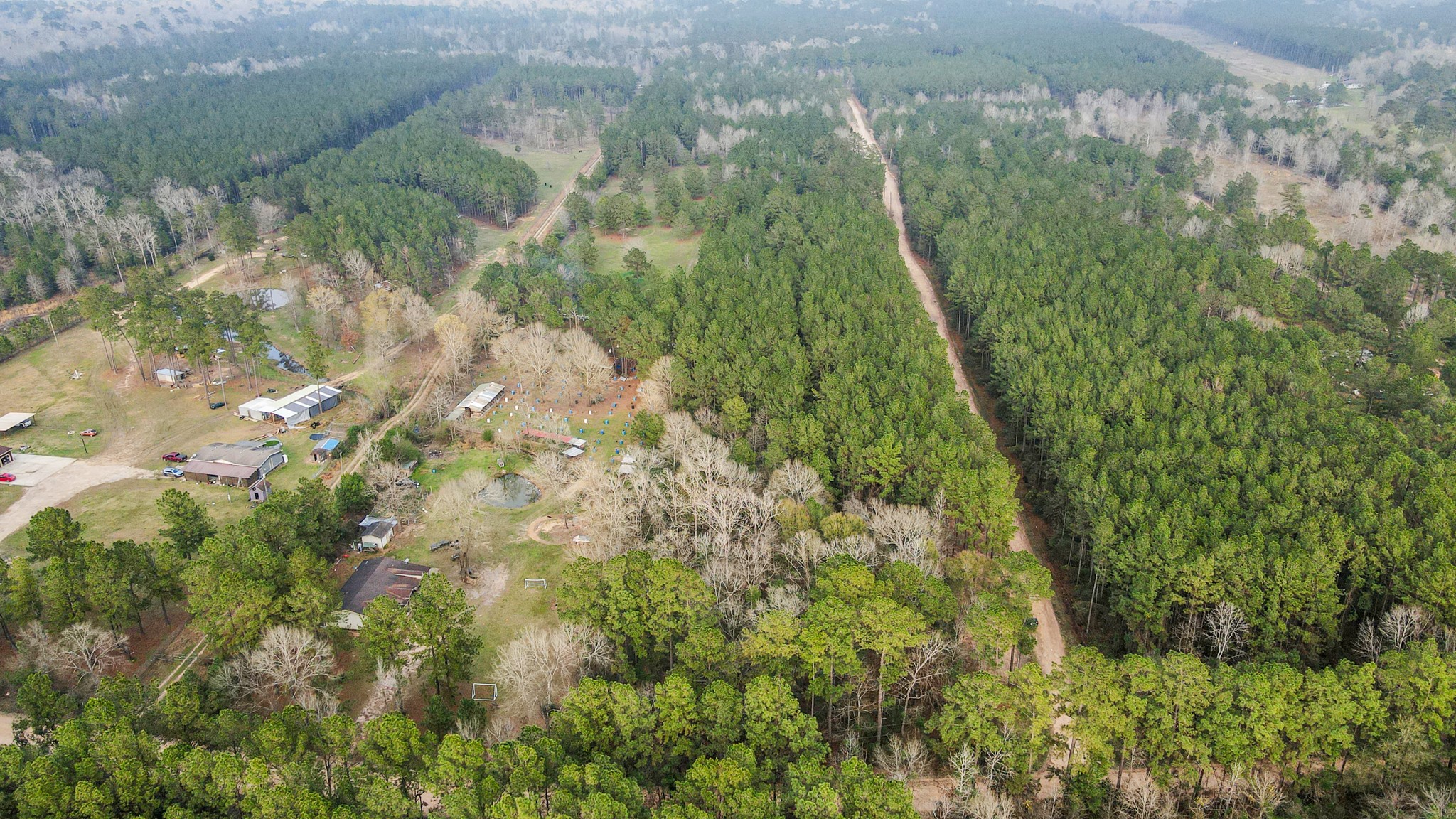 12-acres County Line Road Shepherd, TX 77371 - Photo 11 of 26