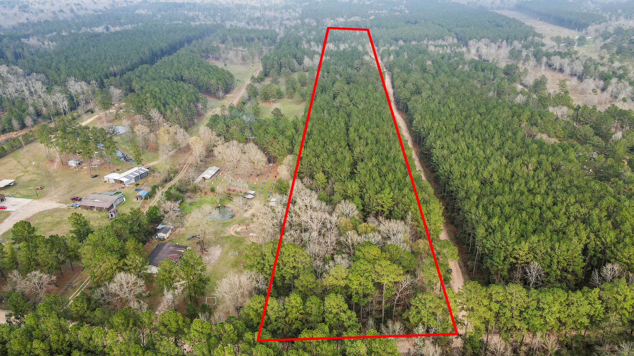 12-acres County Line Road Shepherd, TX 77371 - Photo 12 of 26