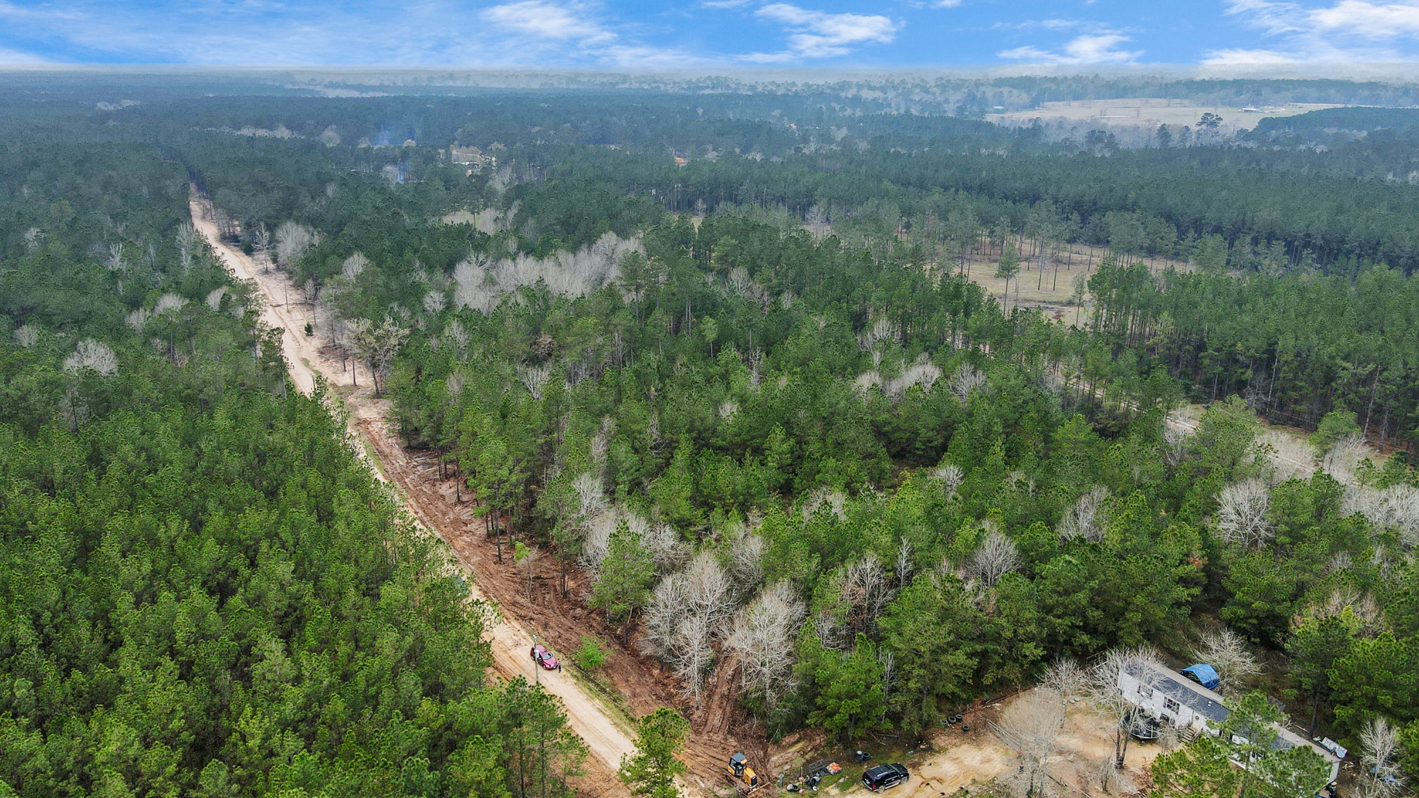 12-acres County Line Road Shepherd, TX 77371 - Photo 13 of 26