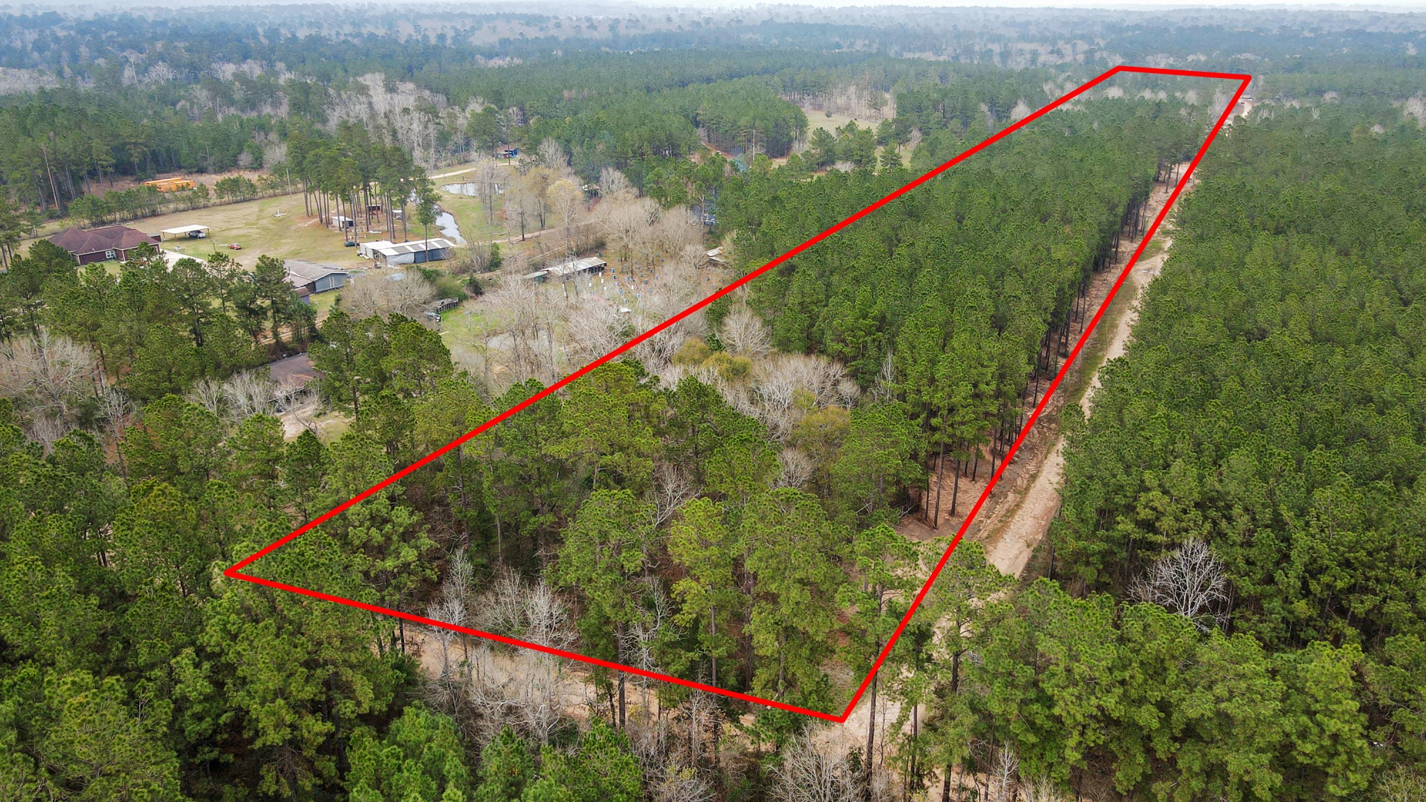 12-acres County Line Road Shepherd, TX 77371 - Photo 20 of 26