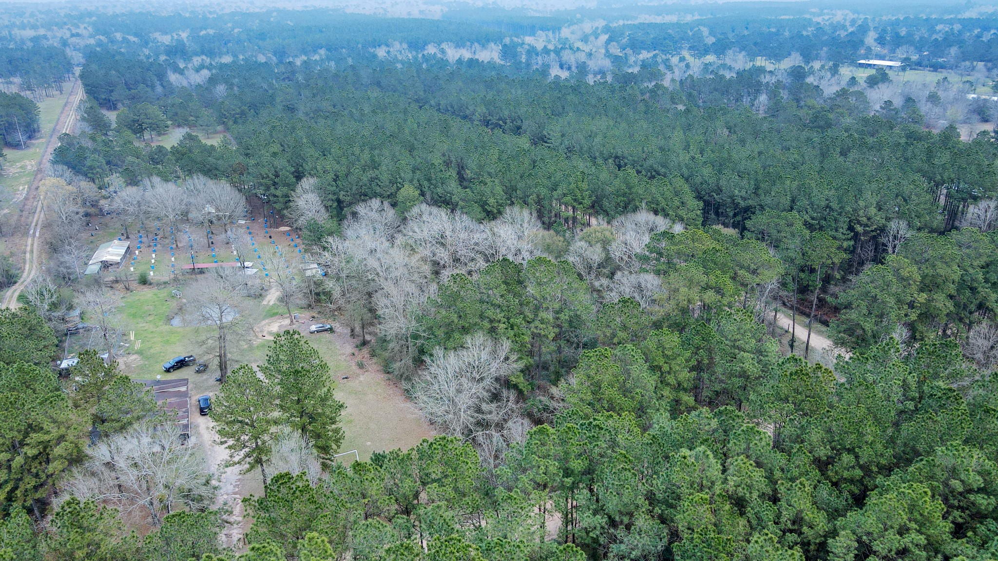 12-acres County Line Road Shepherd, TX 77371 - Photo 25 of 26